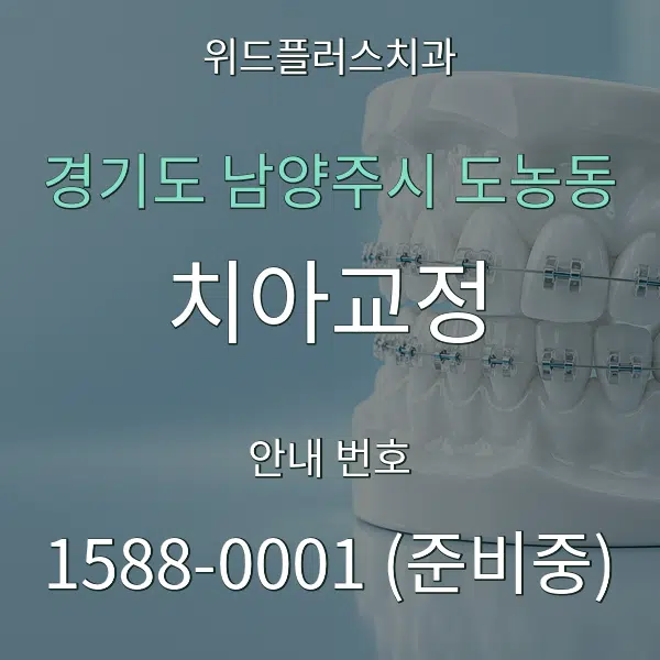 경기도 남양주시 도농동 치아교정 대표 안내 그래픽