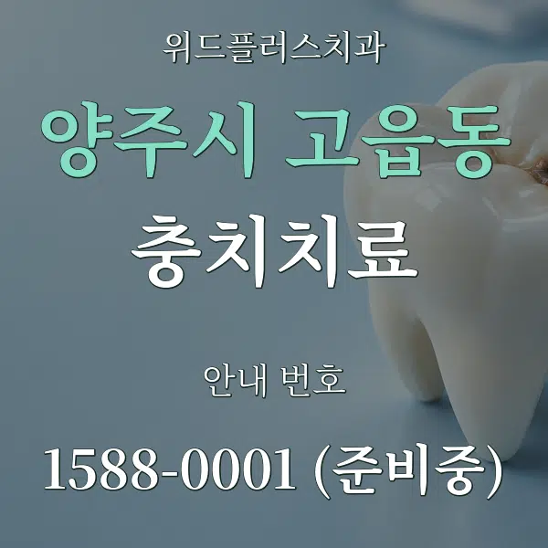 양주시 고읍동 충치치료 대표 안내 그래픽
