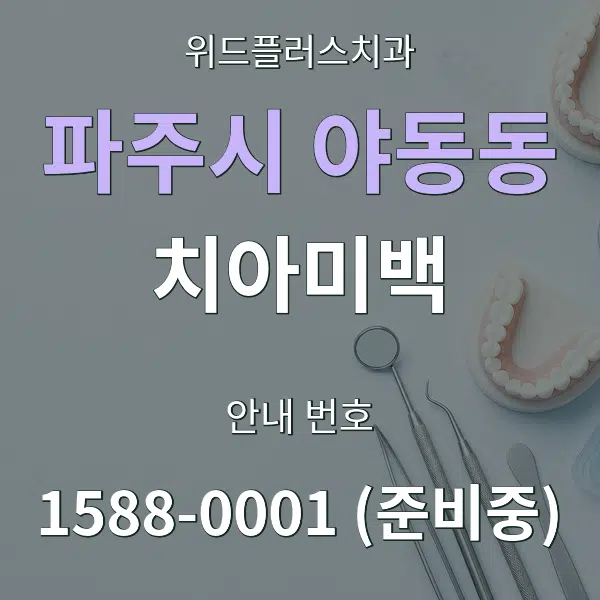 파주시 야동동 치아미백 대표 안내 그래픽