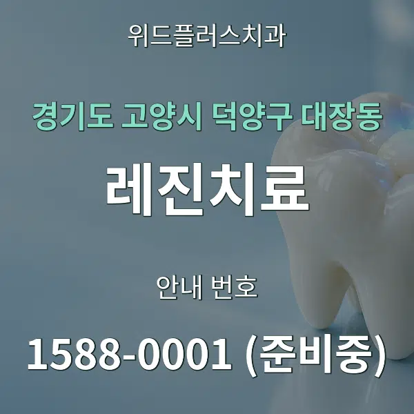 경기도 고양시 덕양구 대장동 레진치료 대표 안내 그래픽