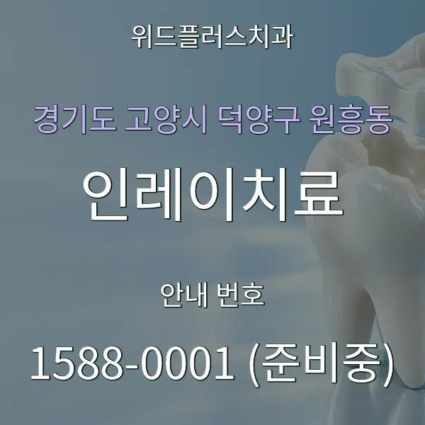 경기도 고양시 덕양구 원흥동 인레이치료 대표 안내 그래픽