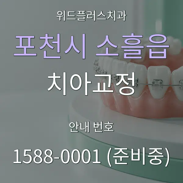 포천시 소흘읍 치아교정 대표 안내 그래픽