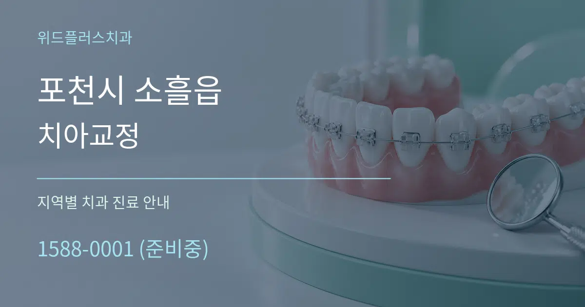 포천시 소흘읍 치아교정 대표 안내 그래픽