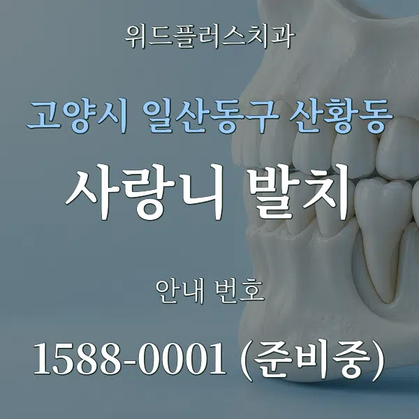 고양시 일산동구 산황동 사랑니 발치 대표 안내 그래픽