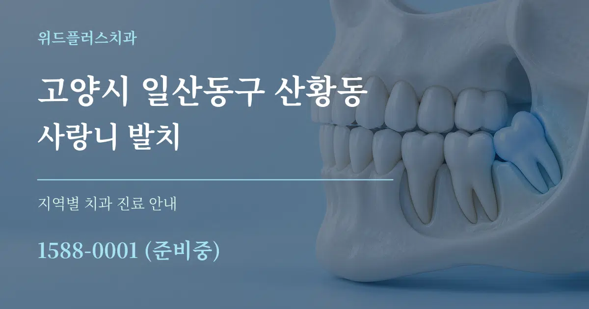 고양시 일산동구 산황동 사랑니 발치 대표 안내 그래픽