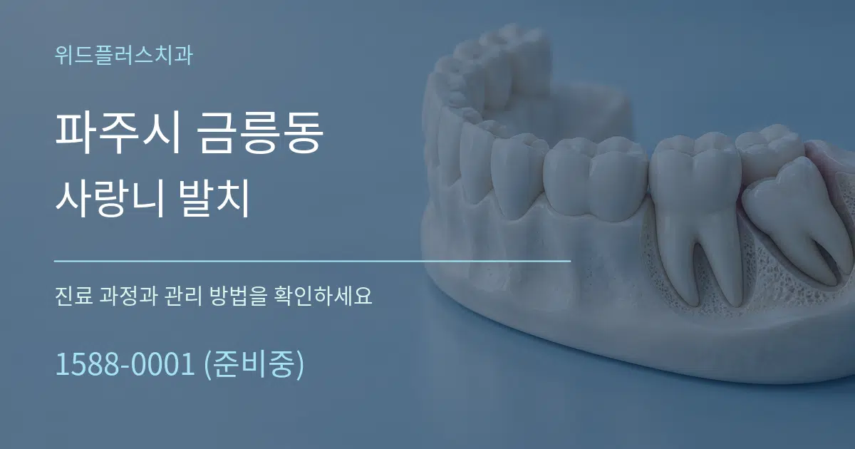 파주시 금릉동 사랑니 발치 서비스 이용 안내 그래픽