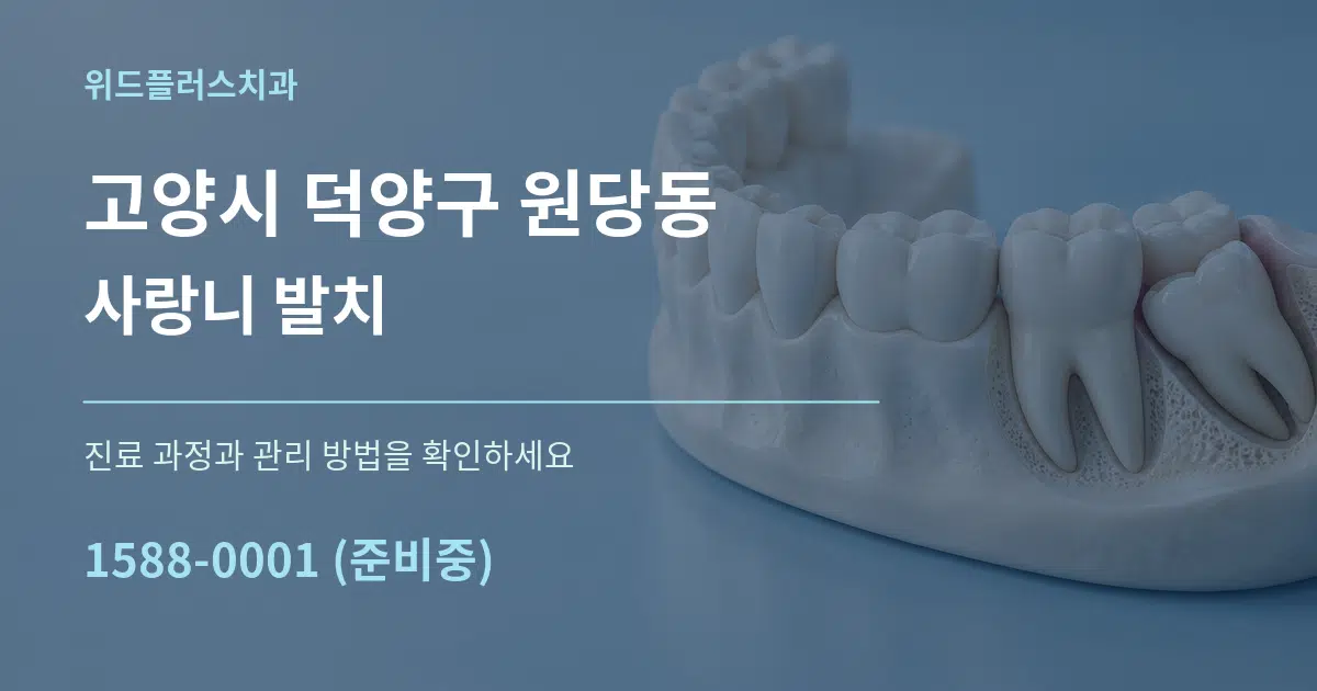 고양시 덕양구 원당동 사랑니 발치 작업 조건 안내 그래픽