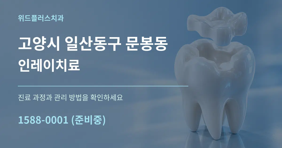 고양시 일산동구 문봉동 인레이치료 서비스 이용 안내 그래픽