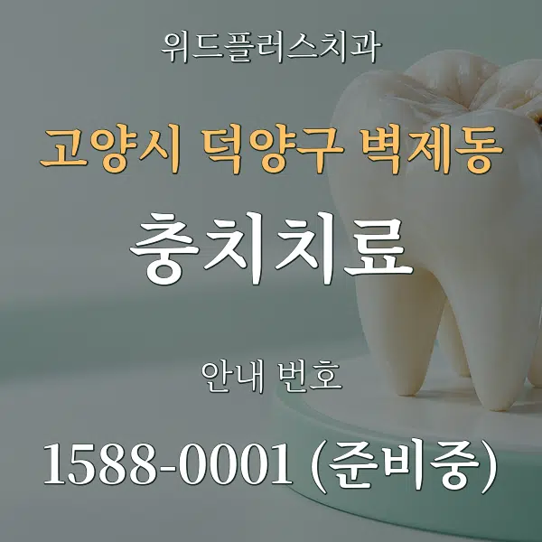 고양시 덕양구 벽제동 충치치료 대표 안내 그래픽