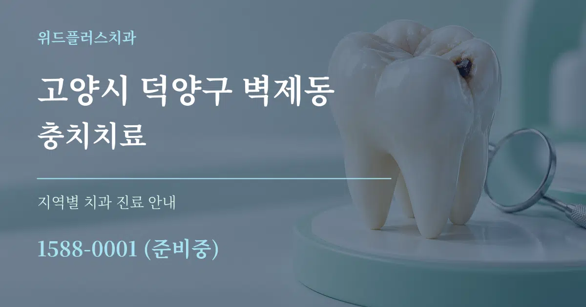 고양시 덕양구 벽제동 충치치료 대표 안내 그래픽