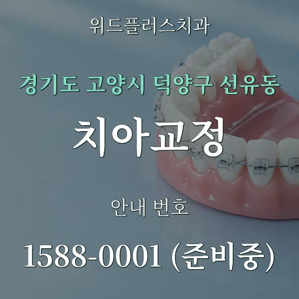 경기도 고양시 덕양구 선유동 치아교정 대표 안내 그래픽