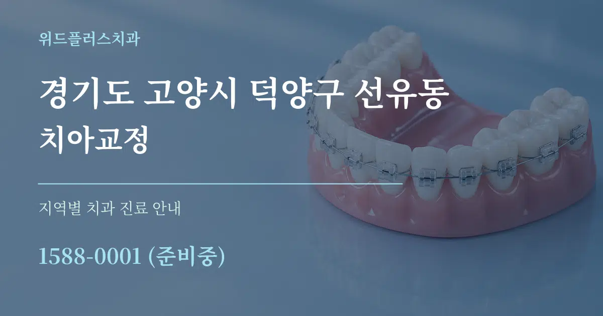 경기도 고양시 덕양구 선유동 치아교정 대표 안내 그래픽
