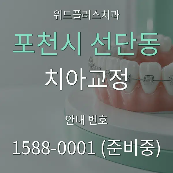 포천시 선단동 치아교정 대표 안내 그래픽