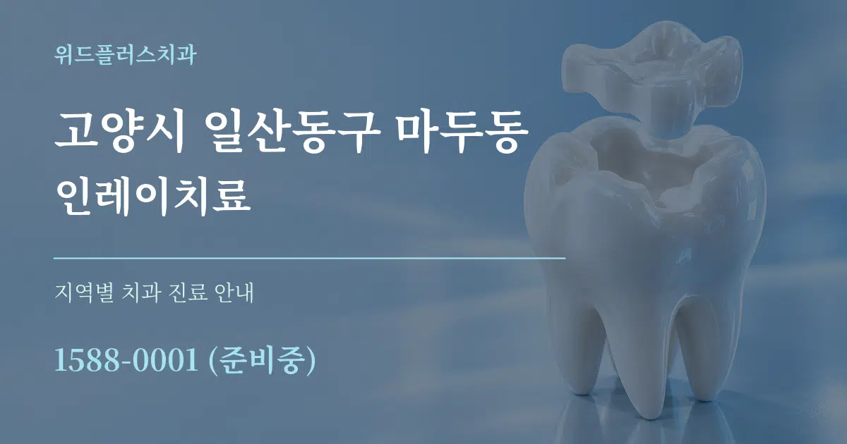 고양시 일산동구 마두동 인레이치료 대표 안내 그래픽