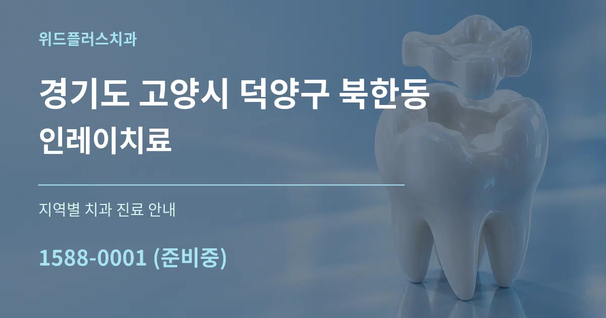 경기도 고양시 덕양구 북한동 인레이치료 대표 안내 그래픽