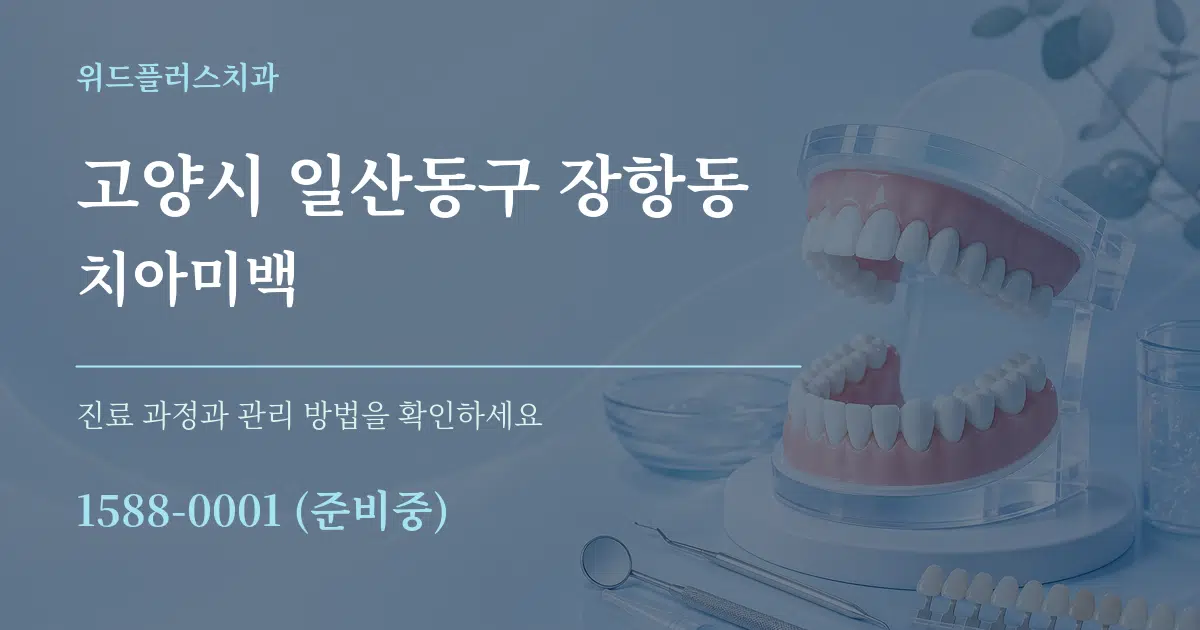 고양시 일산동구 장항동 치아미백 작업 조건 안내 그래픽