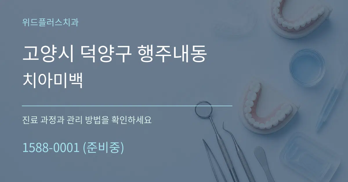 고양시 덕양구 행주내동 치아미백 서비스 이용 안내 그래픽