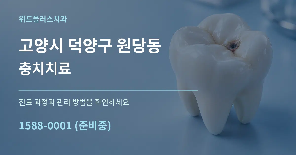 고양시 덕양구 원당동 충치치료 작업 조건 안내 그래픽