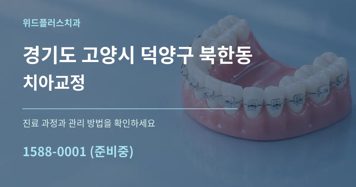 경기도 고양시 덕양구 북한동 치아교정 서비스 이용 안내 그래픽
