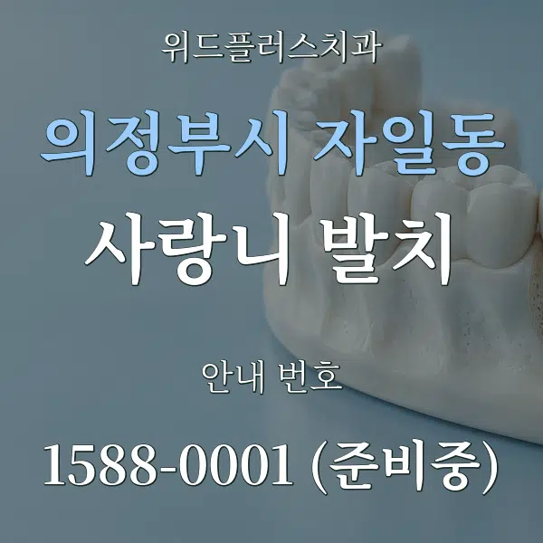 의정부시 자일동 사랑니 발치 대표 안내 그래픽