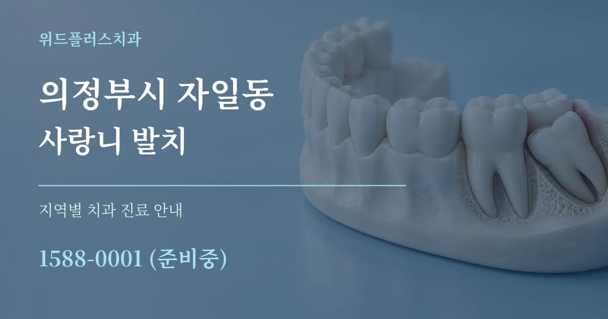 의정부시 자일동 사랑니 발치 대표 안내 그래픽