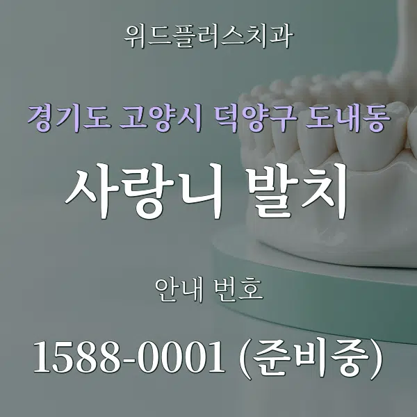 경기도 고양시 덕양구 도내동 사랑니 발치 대표 안내 그래픽