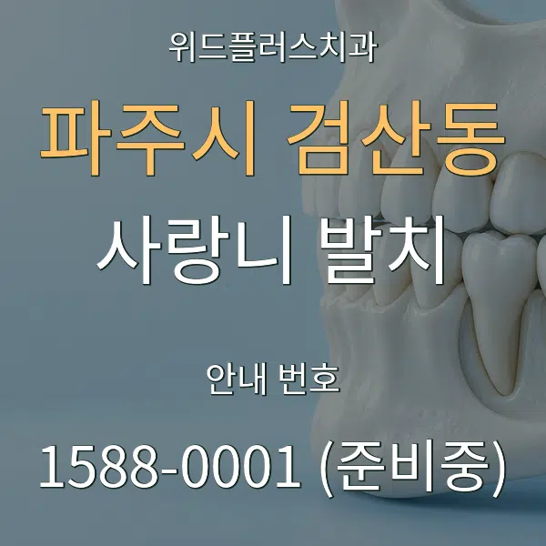 파주시 검산동 사랑니 발치 대표 안내 그래픽