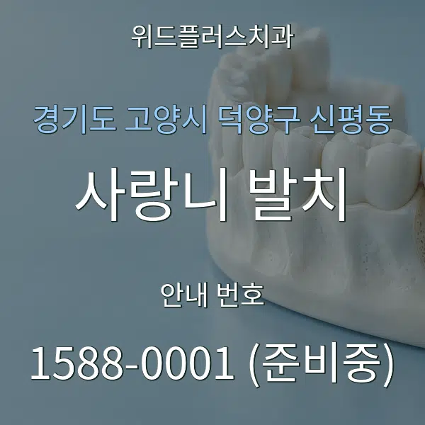 경기도 고양시 덕양구 신평동 사랑니 발치 대표 안내 그래픽