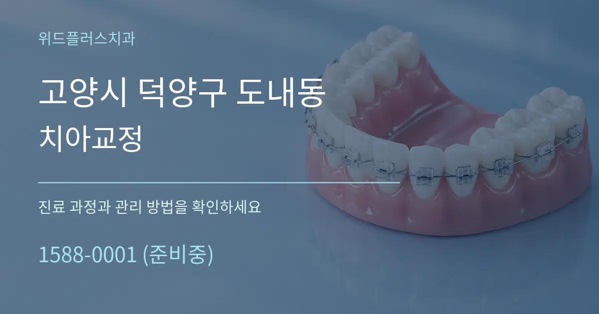 고양시 덕양구 도내동 치아교정 작업 조건 안내 그래픽