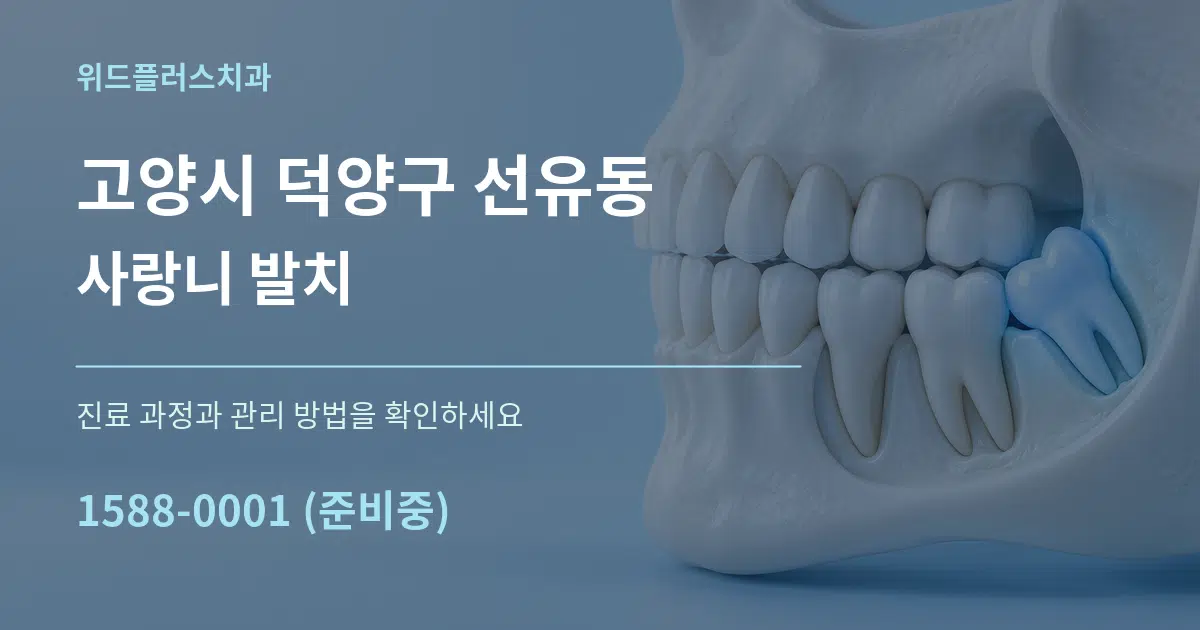 고양시 덕양구 선유동 사랑니 발치 작업 조건 안내 그래픽