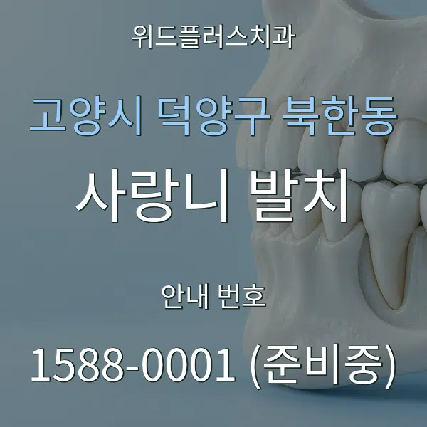 고양시 덕양구 북한동 사랑니 발치 대표 안내 그래픽