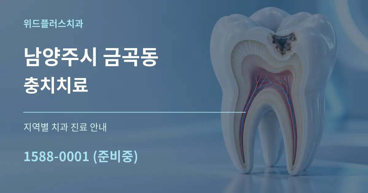 남양주시 금곡동 충치치료 대표 안내 그래픽
