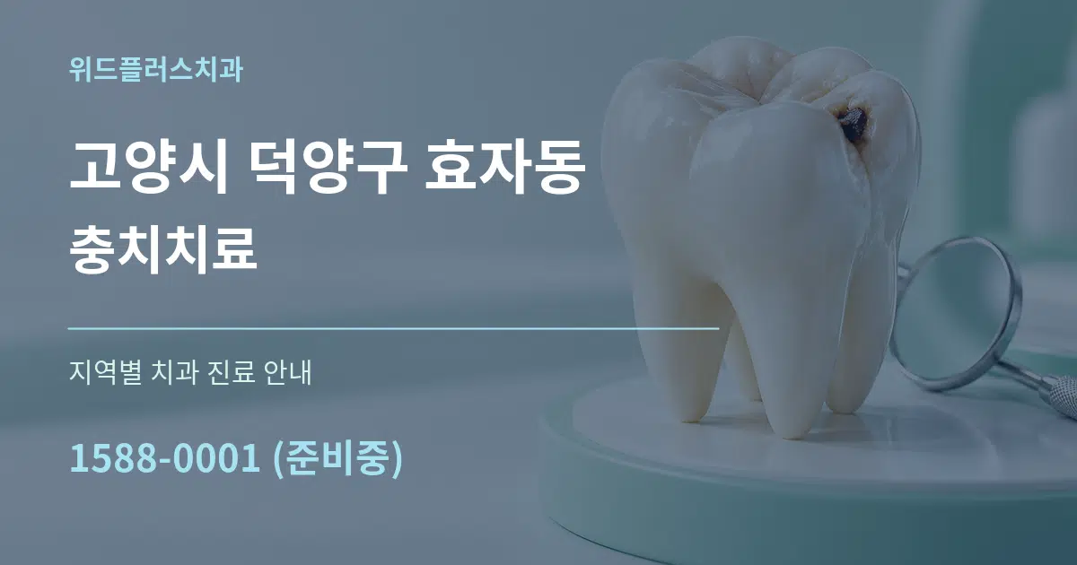 고양시 덕양구 효자동 충치치료 대표 안내 그래픽