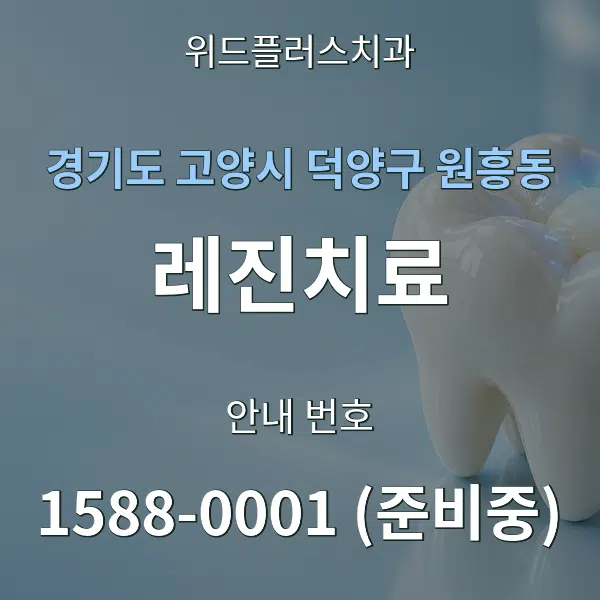 경기도 고양시 덕양구 원흥동 레진치료 대표 안내 그래픽