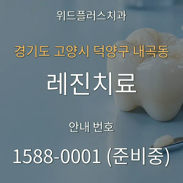 경기도 고양시 덕양구 내곡동 레진치료 대표 안내 그래픽