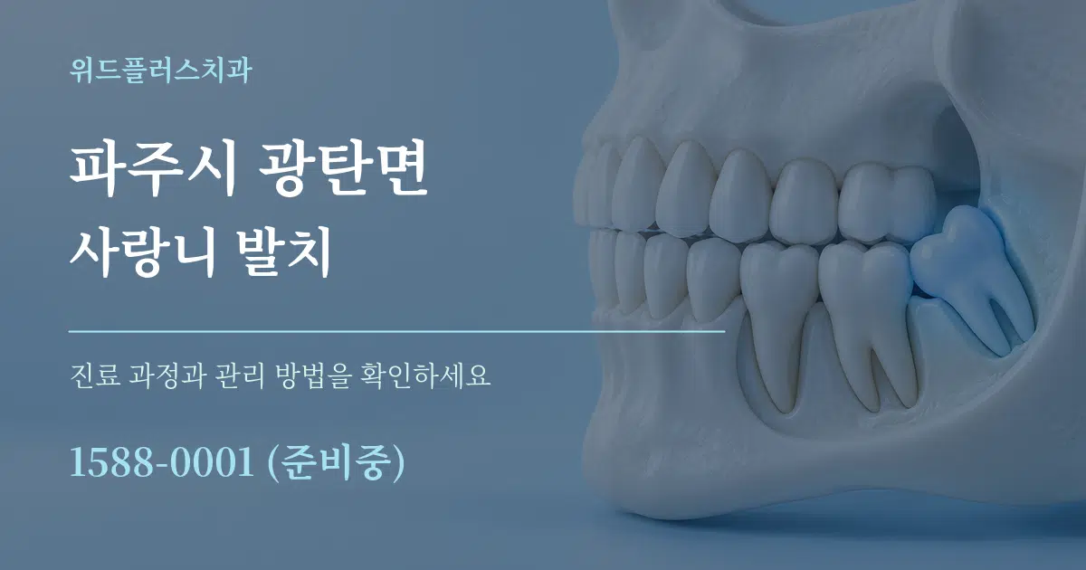 파주시 광탄면 사랑니 발치 서비스 이용 안내 그래픽