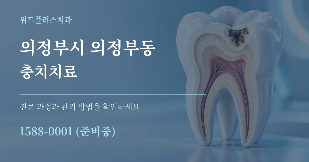 의정부시 의정부동 충치치료 서비스 이용 안내 그래픽