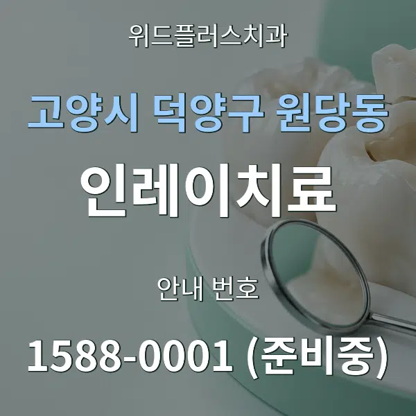 고양시 덕양구 원당동 인레이치료 대표 안내 그래픽
