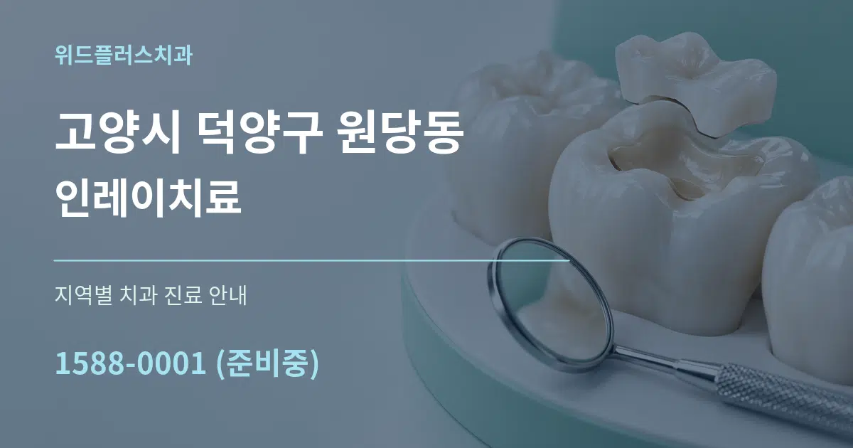 고양시 덕양구 원당동 인레이치료 대표 안내 그래픽