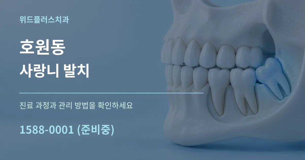 호원동 사랑니 발치 작업 조건 안내 그래픽