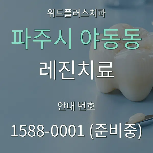파주시 야동동 레진치료 대표 안내 그래픽