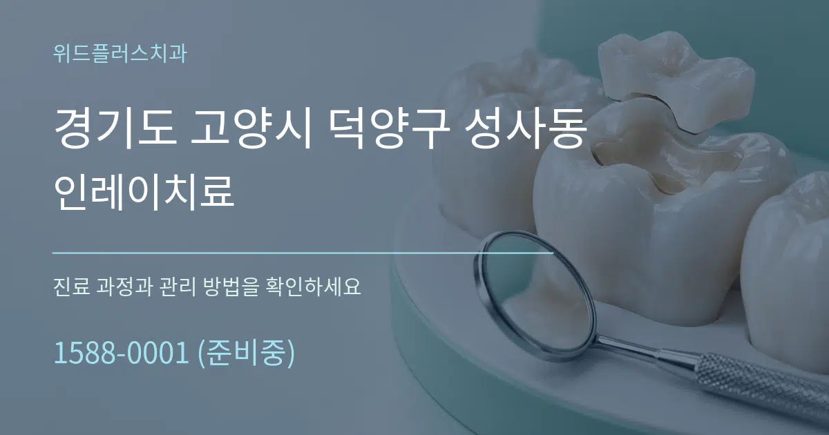 경기도 고양시 덕양구 성사동 인레이치료 서비스 이용 안내 그래픽