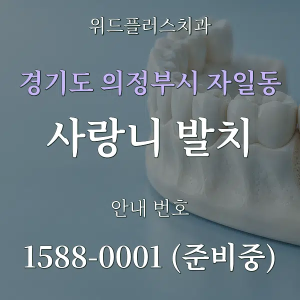 경기도 의정부시 자일동 사랑니 발치 대표 안내 그래픽