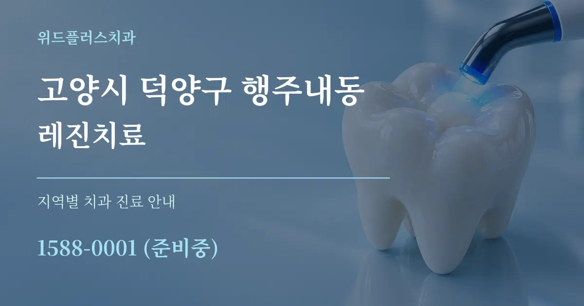 고양시 덕양구 행주내동 레진치료 대표 안내 그래픽