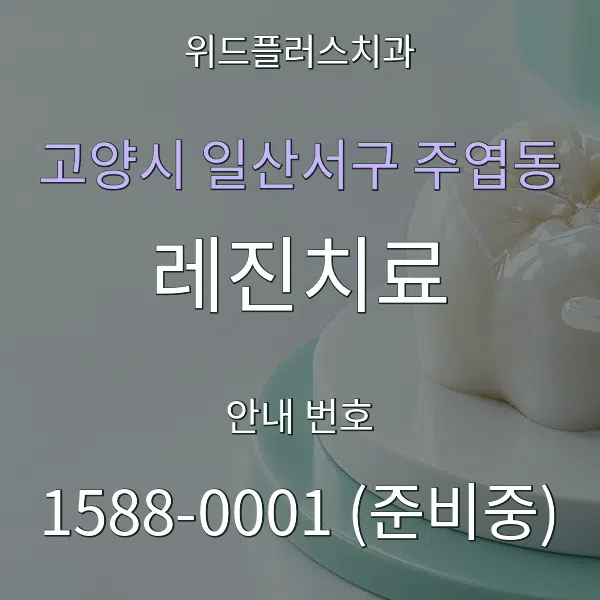 고양시 일산서구 주엽동 레진치료 대표 안내 그래픽