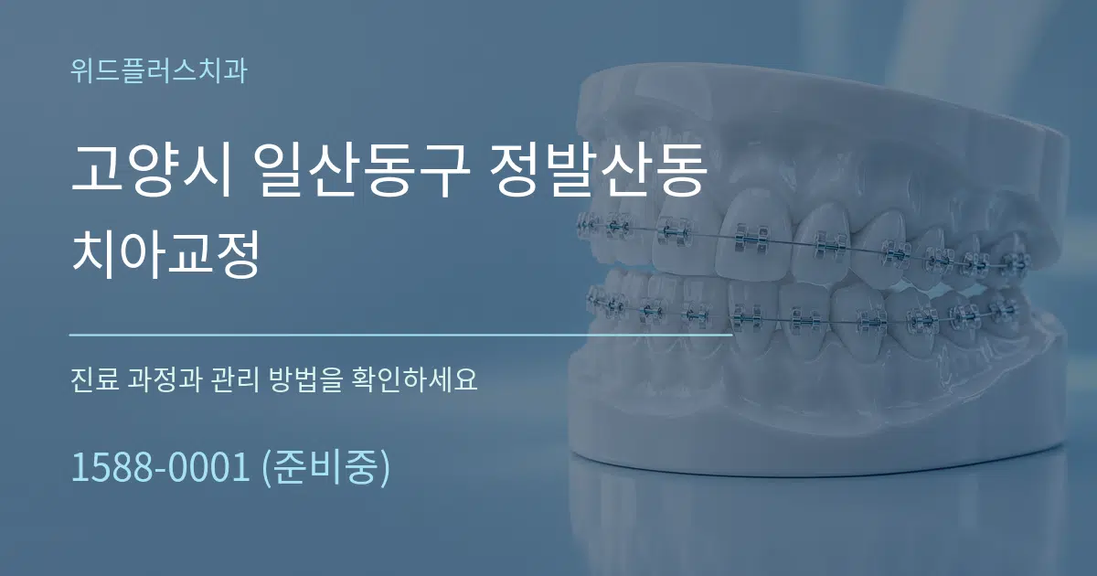 고양시 일산동구 정발산동 치아교정 서비스 이용 안내 그래픽