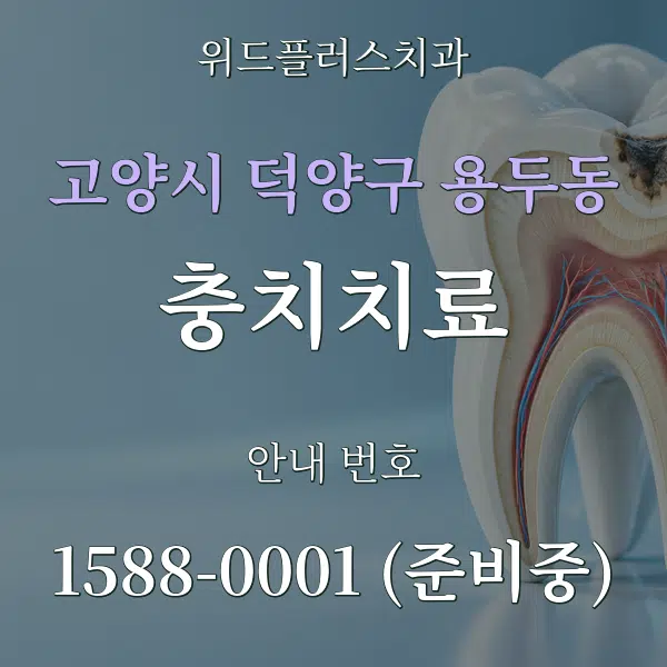 고양시 덕양구 용두동 충치치료 대표 안내 그래픽