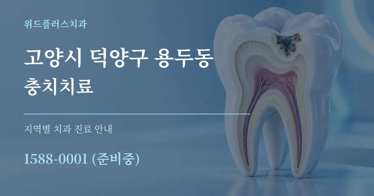 고양시 덕양구 용두동 충치치료 대표 안내 그래픽
