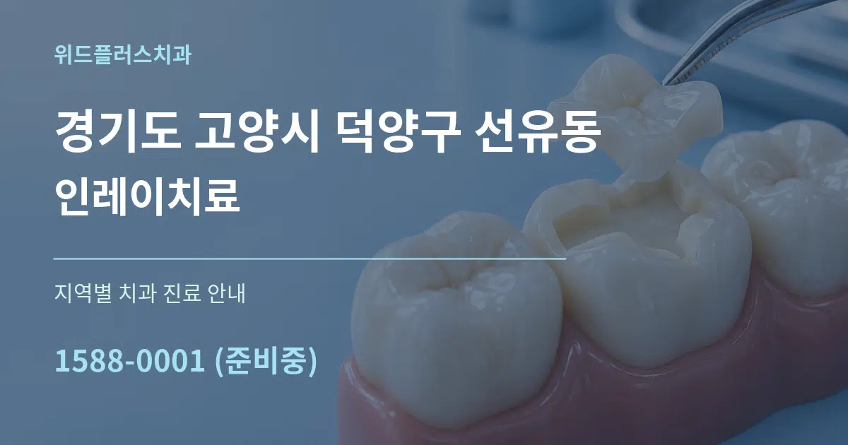경기도 고양시 덕양구 선유동 인레이치료 대표 안내 그래픽