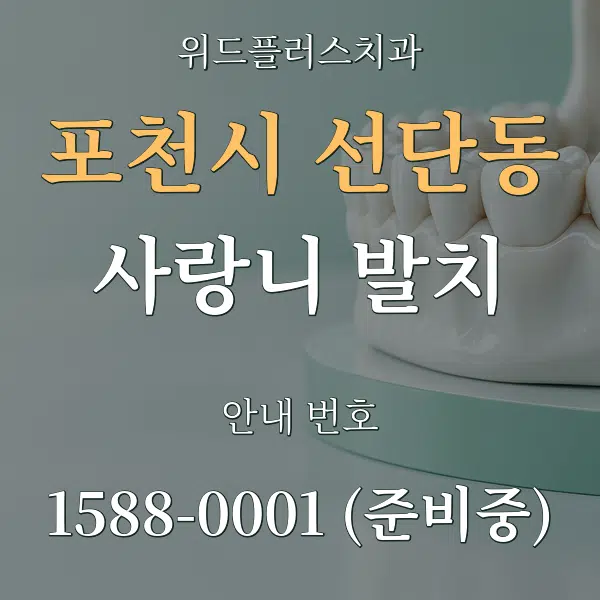 포천시 선단동 사랑니 발치 대표 안내 그래픽